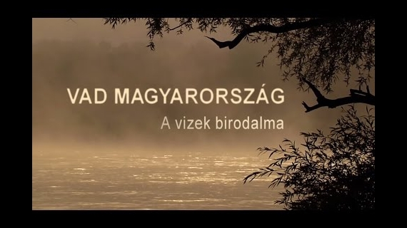 Vad Magyar...